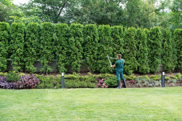  Allendale, NJ Tree Removal and Landscaping Services Pros